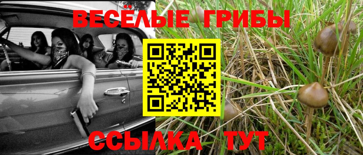 Галлюциногенные грибы Cubensis  Вход с VPN  Красногорск 